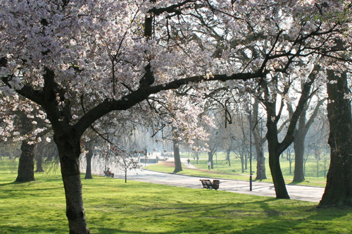 London royal parks filming locations