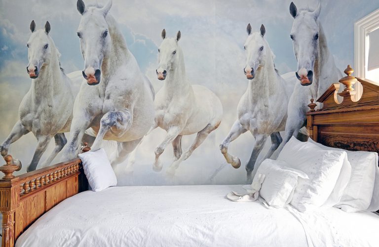 Coolhurst N8 - white horses - london houses - shootfactory location