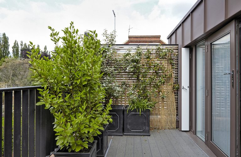 Coolhurst N8 - small roof terrace space - london houses - shootfactory location
