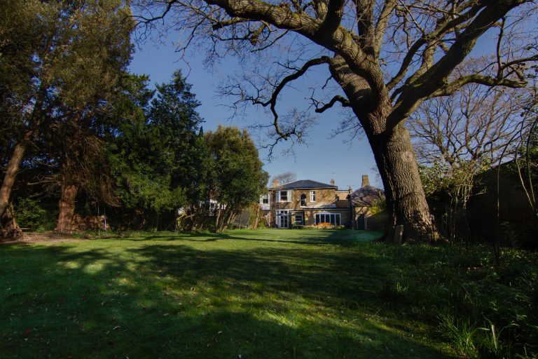 Esher KT10 - large garden tree - london houses - shootfactory location