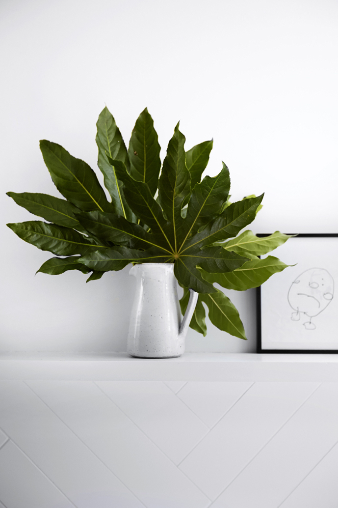 Indoor Plants - Design Trends - Shootfactory