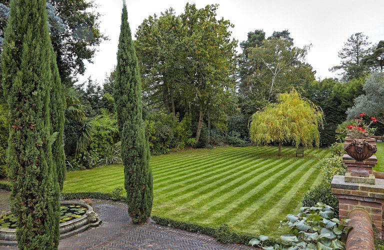 Cedar KT2 - large lawn - london houses - shootfactory location