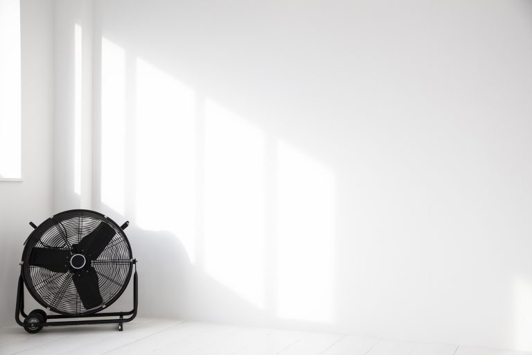 Lemon Studio Two SE26 - white painted wall - photographic studios - shootfactory location