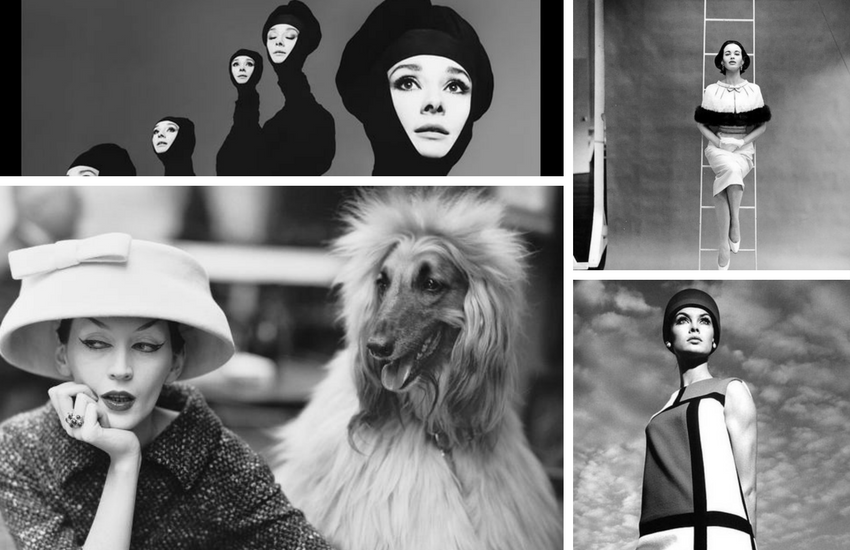 Richard Avedon - Fashion Photography - Shootfactory