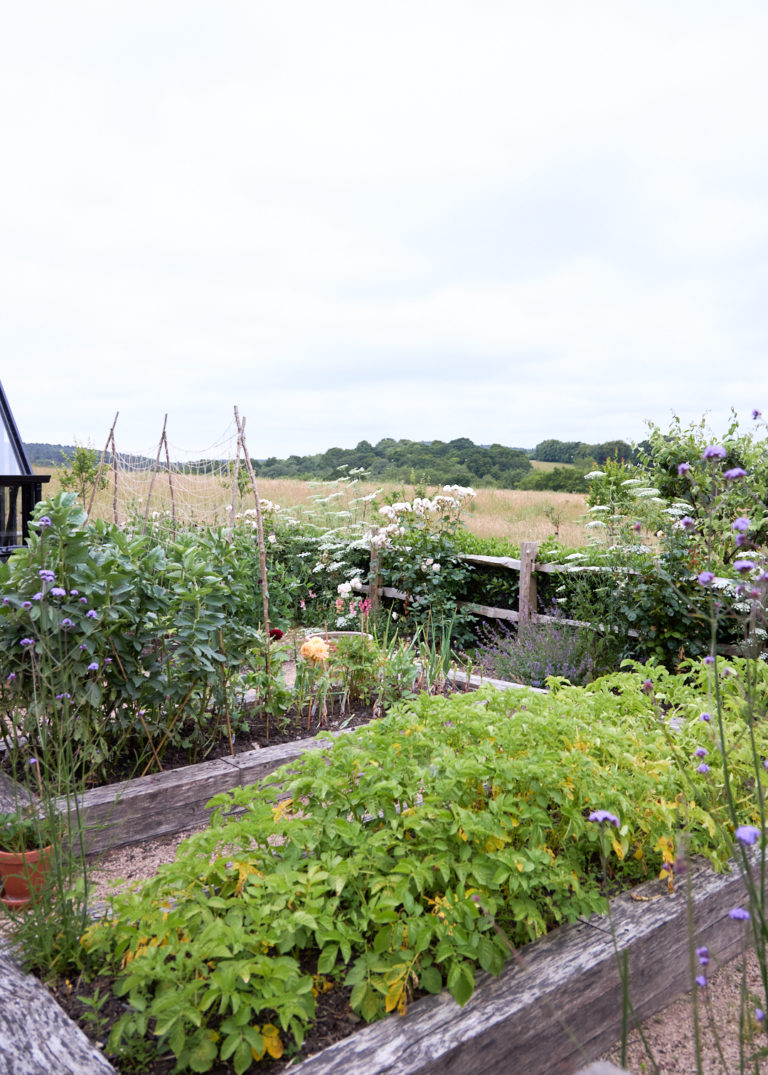 THE FARMHOUSE, EAST SUSSEX, TN20 - SHOOTFACTORY - OTHER UK HOUSES