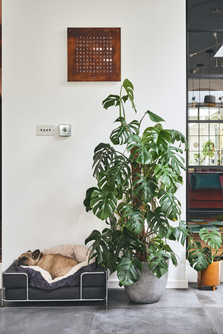 MINTON HOUSE, B17 - SHOOTFACTORY - OTHER UK LOCATION HOUSE