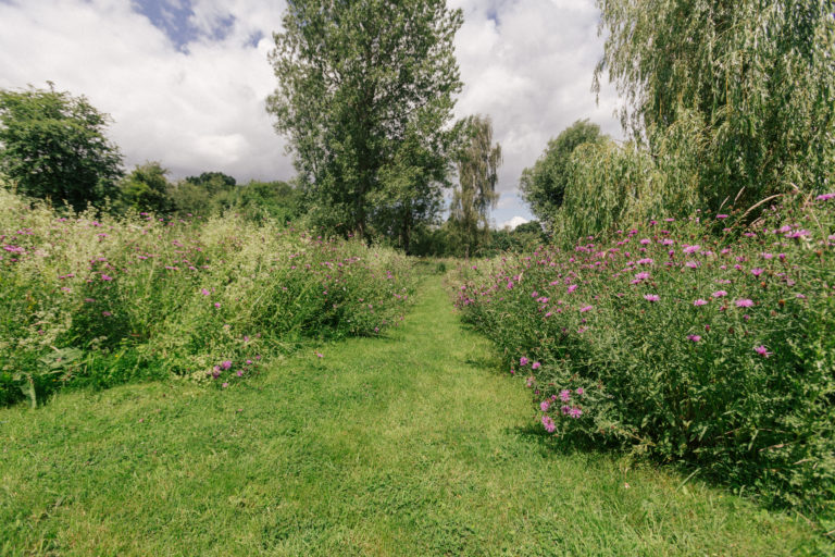 SERENO HENLEY ON THAMES, RG9 - SHOOTFACTORY - OTHER UK HOUSES
