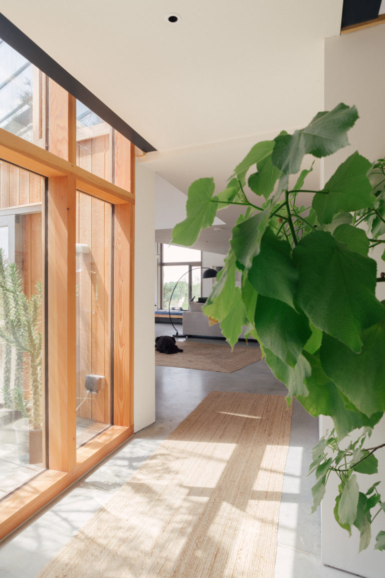 SHAFTESBURY DOREST, SP7 - SHOOTFACTORY - OTHER UK HOUSES