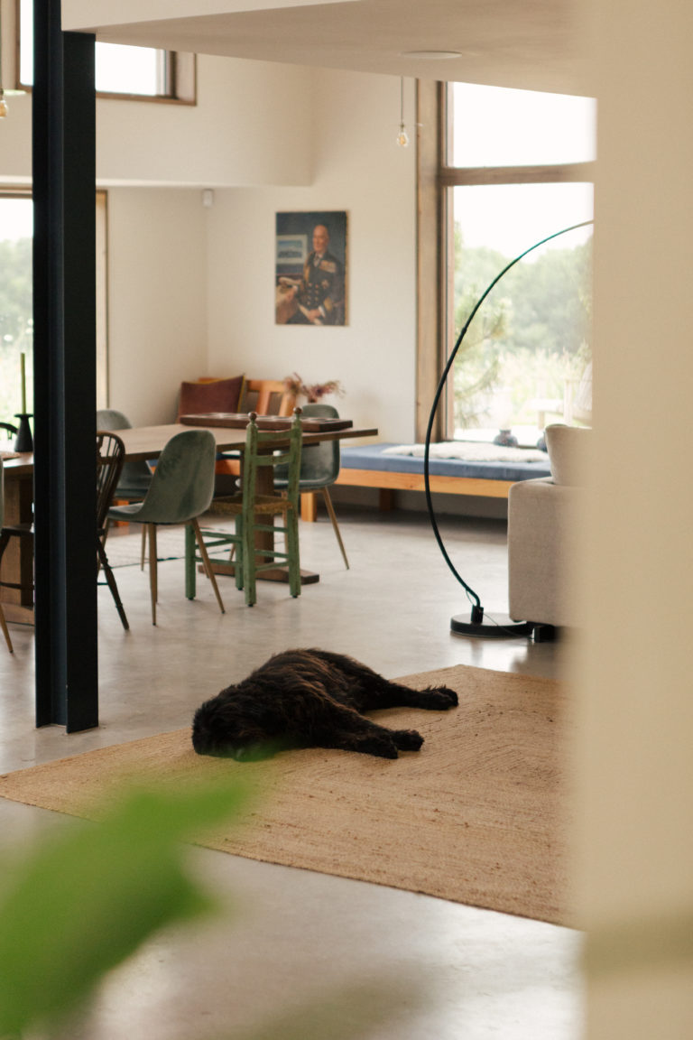 SHAFTESBURY DOREST, SP7 - SHOOTFACTORY - OTHER UK HOUSES
