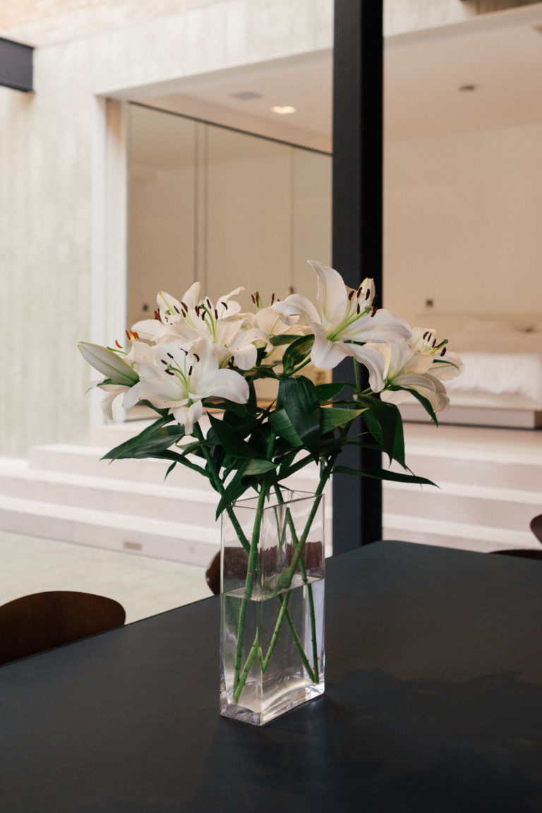 STEELE LONDON, E14 - SHOOTFACTORY - LONDON APARTMENTS