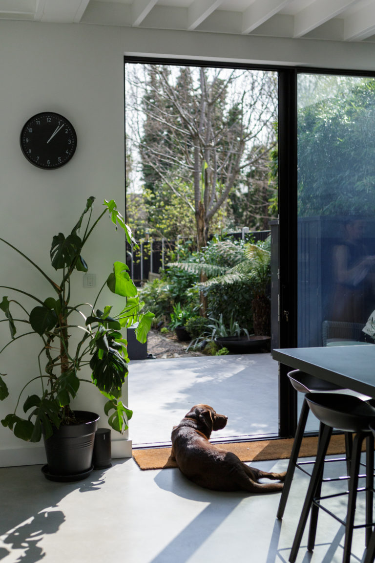 WALTHAMSTOW LONDON, E17- SHOOTFACTORY - LONDON HOUSES