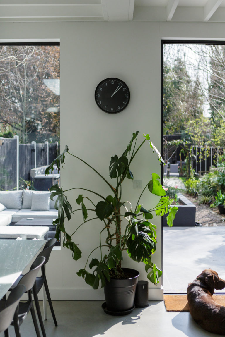 WALTHAMSTOW LONDON, E17- SHOOTFACTORY - LONDON HOUSES