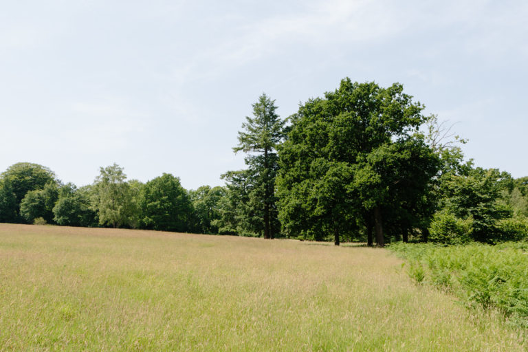 RANCH SURREY, GU5 - SHOOTFACTORY - OTHER UK HOUSES