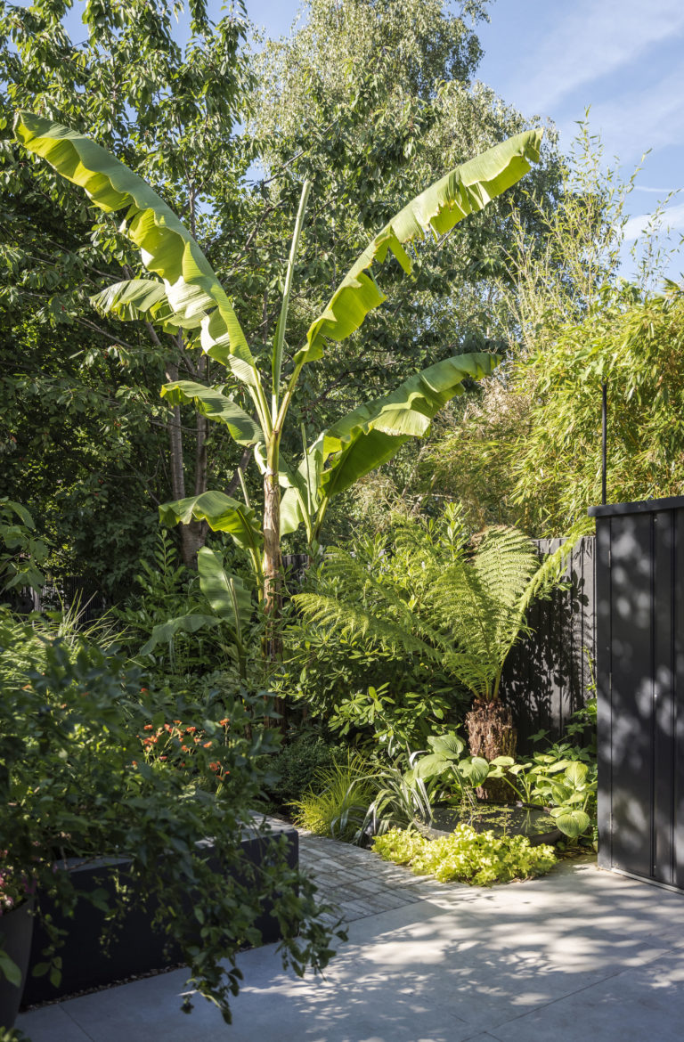 WALTHAMSTOW LONDON, E17 - SHOOTFACTORY - LONDON HOUSES