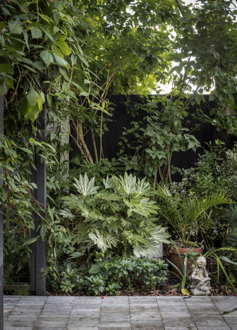 WALTHAMSTOW LONDON, E17 - SHOOTFACTORY - LONDON HOUSES