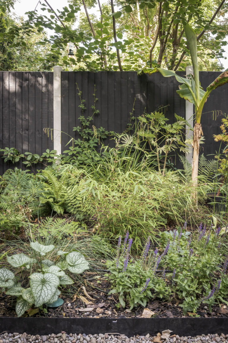 WALTHAMSTOW LONDON, E17 - SHOOTFACTORY - LONDON HOUSES