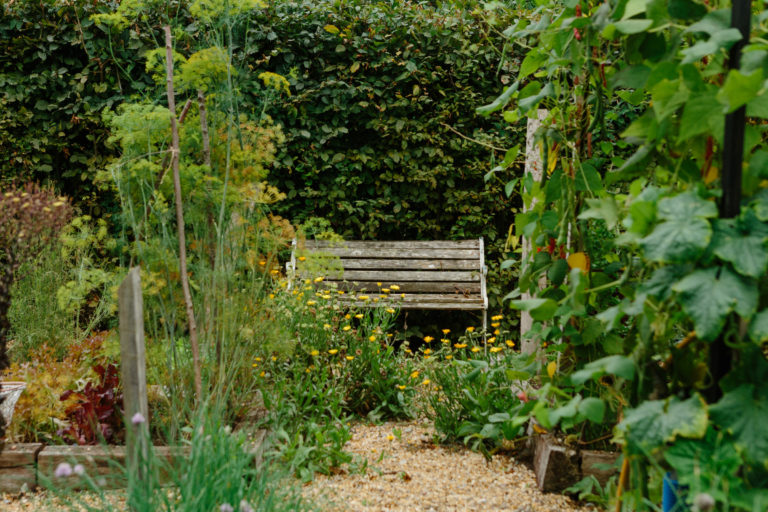 BASKET EAST SUSSEX, TN22 - SHOOTFACTORY - OTHER UK HOUSES