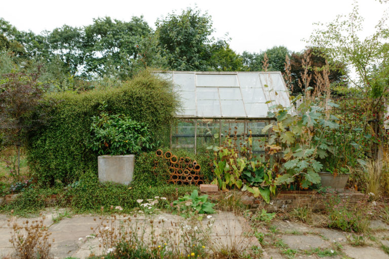 BASKET EAST SUSSEX, TN22 - SHOOTFACTORY - OTHER UK HOUSES