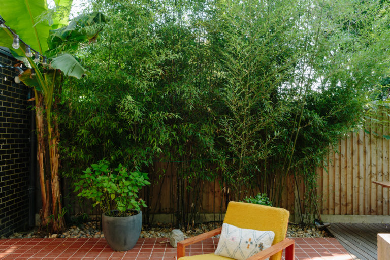 GYPSY LONDON, SE19 - SHOOTFACTORY - LONDON HOUSES