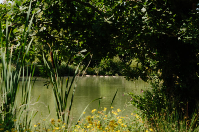 HAMBROOK BARN WEST SUSSEX, PO18 - SHOOTFACTORY - OTHER UK HOUSES