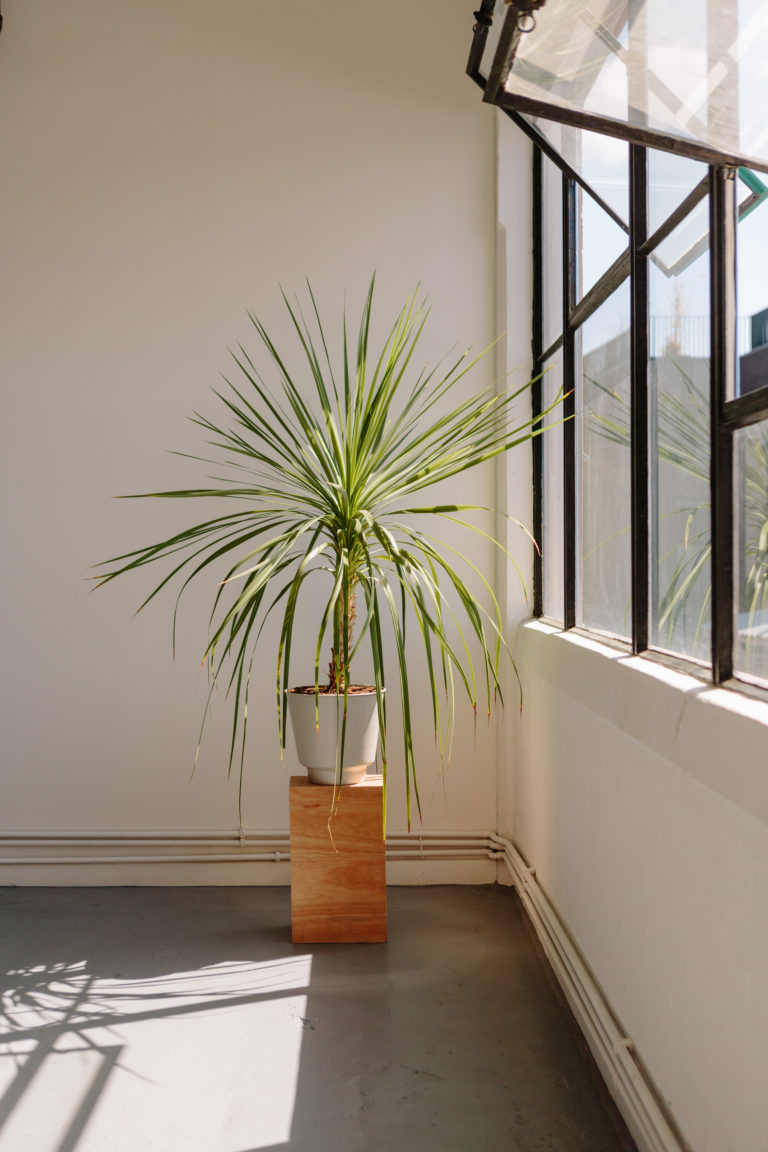WICK LONDON, E9 - SHOOTFACTORY - LONDON APARTMENTS