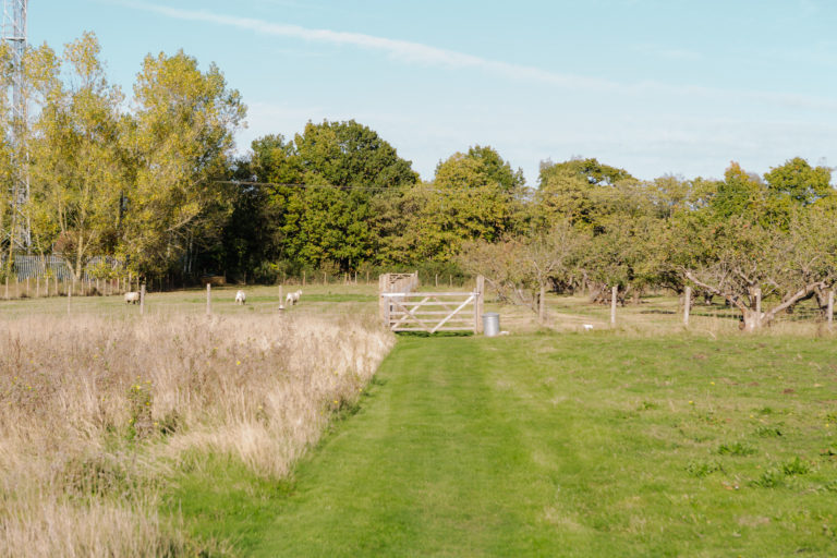 HIGHWOOD KENT, ME13 - SHOOTFACTORY - OTHER UK HOUSES