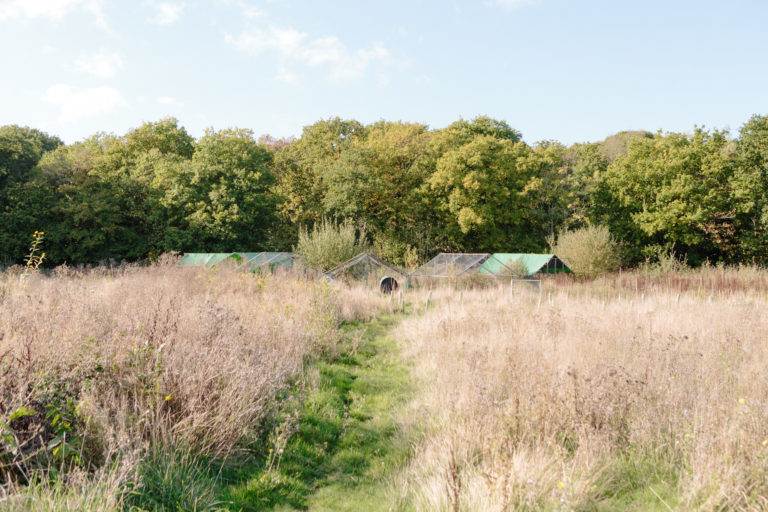 HIGHWOOD KENT, ME13 - SHOOTFACTORY - OTHER UK HOUSES