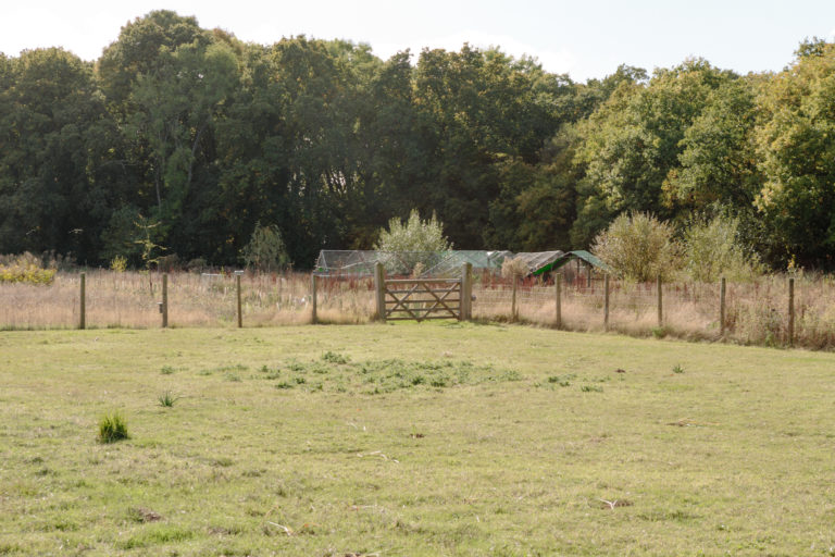 HIGHWOOD KENT, ME13 - SHOOTFACTORY - OTHER UK HOUSES