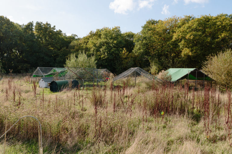 HIGHWOOD KENT, ME13 - SHOOTFACTORY - OTHER UK HOUSES