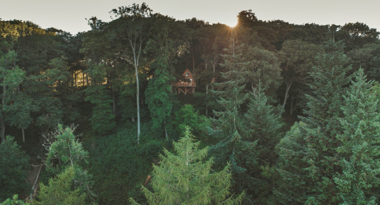 TREEHOUSE HEREFORDSHIRE, HR4 - SHOOTFACTORY - QUIRKY & UNUSUAL LOCATIONS