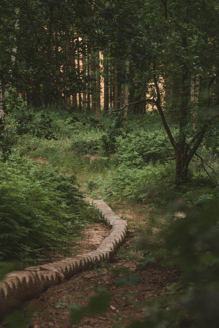 TREEHOUSE HEREFORDSHIRE, HR4 - SHOOTFACTORY - QUIRKY & UNUSUAL LOCATIONS