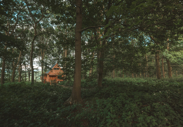 TREEHOUSE HEREFORDSHIRE, HR4 - SHOOTFACTORY - QUIRKY & UNUSUAL LOCATIONS