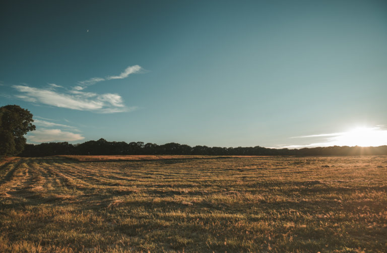 TREEHOUSE HEREFORDSHIRE, HR4 - SHOOTFACTORY - QUIRKY & UNUSUAL LOCATIONS