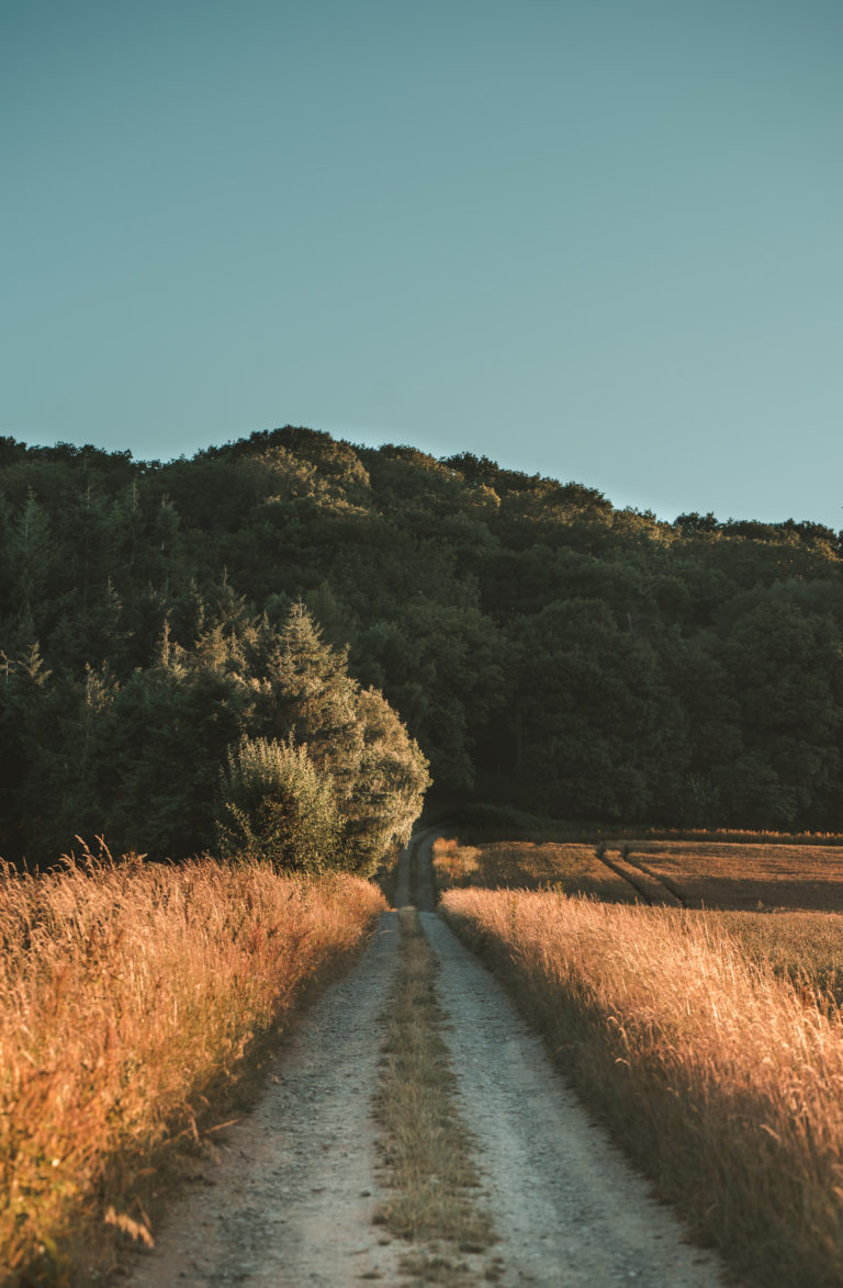 TREEHOUSE HEREFORDSHIRE, HR4 - SHOOTFACTORY - QUIRKY & UNUSUAL LOCATIONS