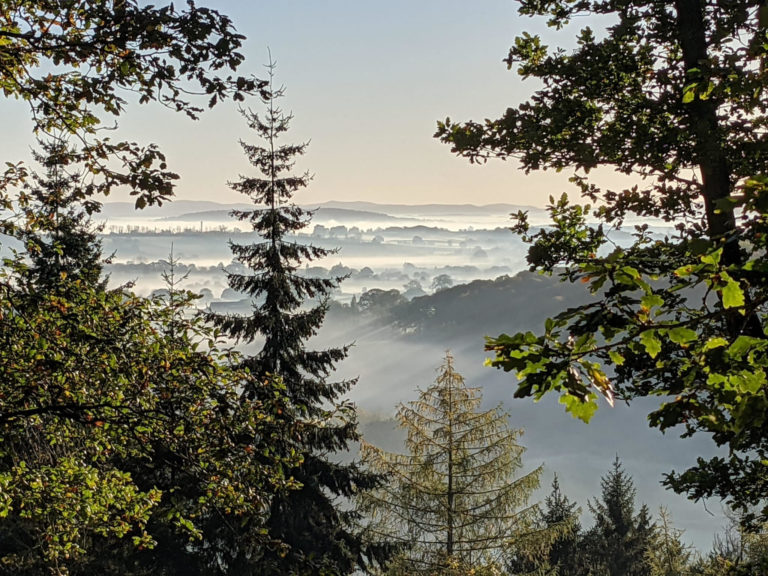 TREEHOUSE HEREFORDSHIRE, HR4 - SHOOTFACTORY - QUIRKY & UNUSUAL LOCATIONS