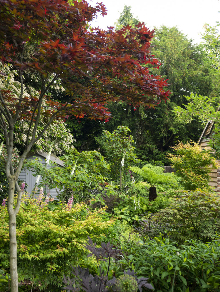 AUTUMN SURREY, CR3 - SHOOTFACTORY - OTHER UK HOUSES
