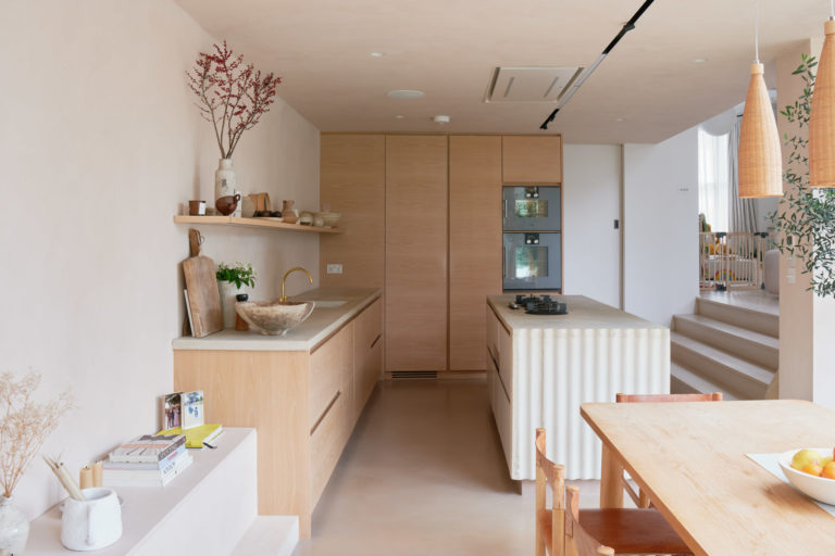 KATHAROS LONDON, E5 - SHOOTFACTORY - LONDON HOUSES