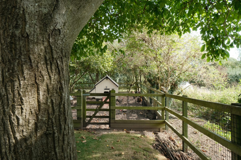 THATCHED COTTAGE NEWMARKET, CB8 - SHOOTFACTORY - OTHER UK