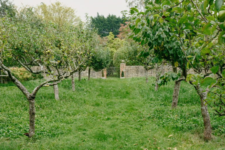 THE VALE OXFORDSHIRE, SN7 - SHOOTFACTORY - OTHER UK HOUSES