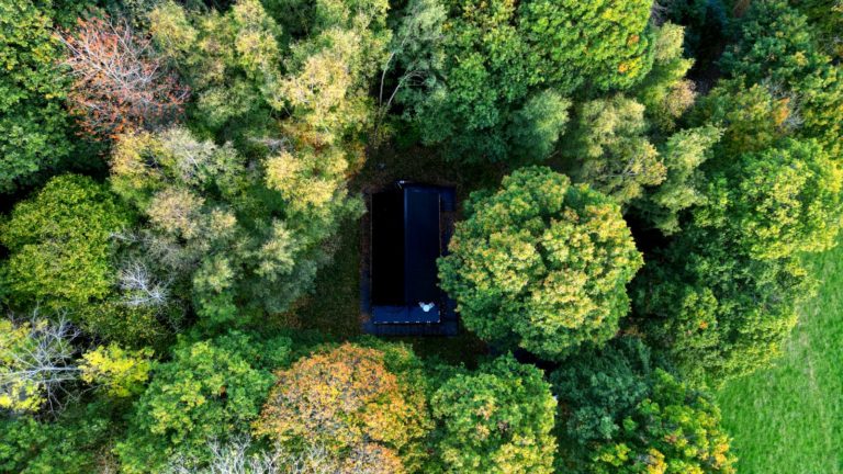 OAK VIEW CABIN WALES, SY22 - SHOOTFACTORY - OTHER UK HOUSES