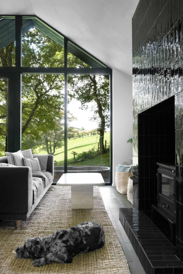 OAK VIEW CABIN WALES, SY22 - SHOOTFACTORY - OTHER UK HOUSES