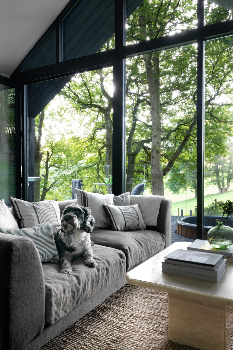 OAK VIEW CABIN WALES, SY22 - SHOOTFACTORY - OTHER UK HOUSES - 0