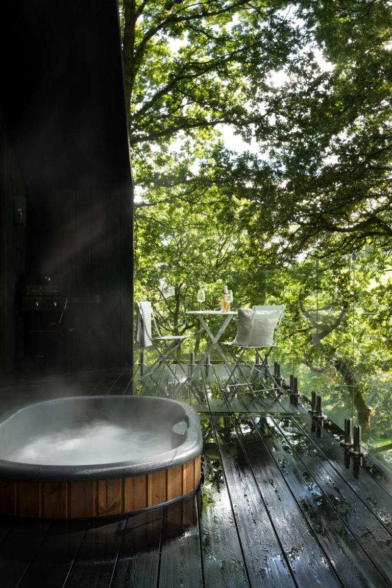 OAK VIEW CABIN WALES, SY22 - SHOOTFACTORY - OTHER UK HOUSES - 0