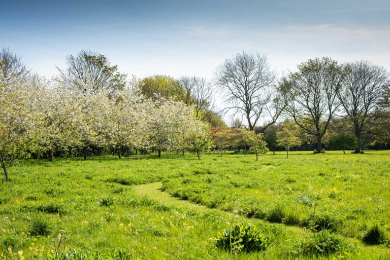 GREY HOUSE, OXON, OX7 - SHOOTFACTORY - OTHER UK HOUSES