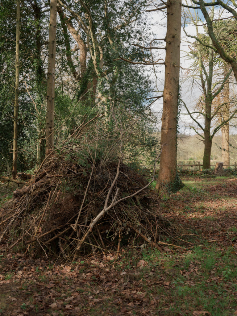 THE CRATE HOUSE, KENT, TN17 - SHOOTFACTORY - OTHER UK HOUSES
