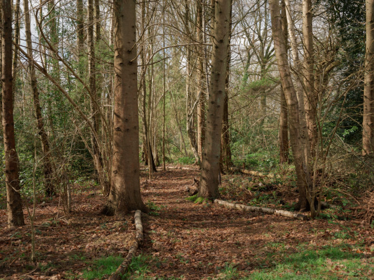 THE CRATE HOUSE, KENT, TN17 - SHOOTFACTORY - OTHER UK HOUSES