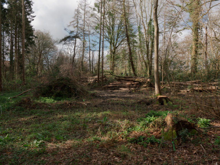 THE CRATE HOUSE, KENT, TN17 - SHOOTFACTORY - OTHER UK HOUSES