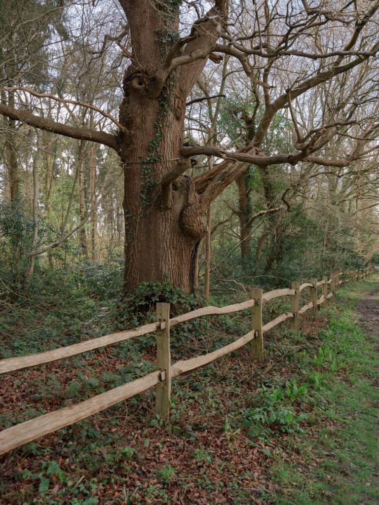 THE CRATE HOUSE, KENT, TN17 - SHOOTFACTORY - OTHER UK HOUSES