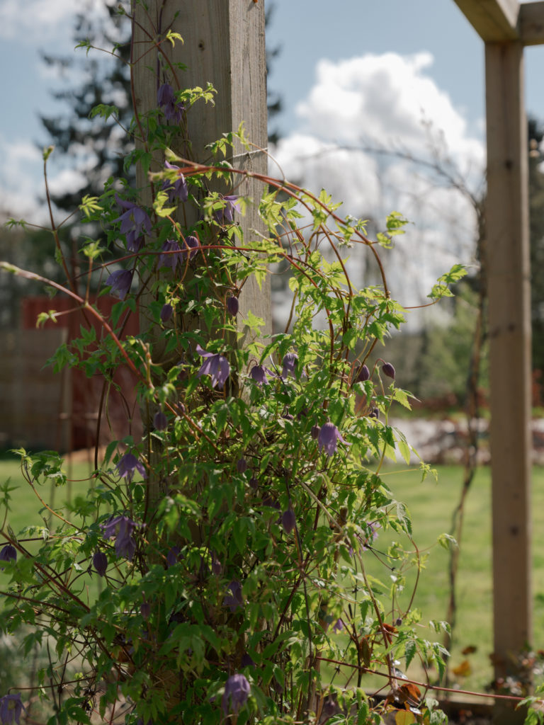 THE CRATE HOUSE, KENT, TN17 - SHOOTFACTORY - OTHER UK HOUSES