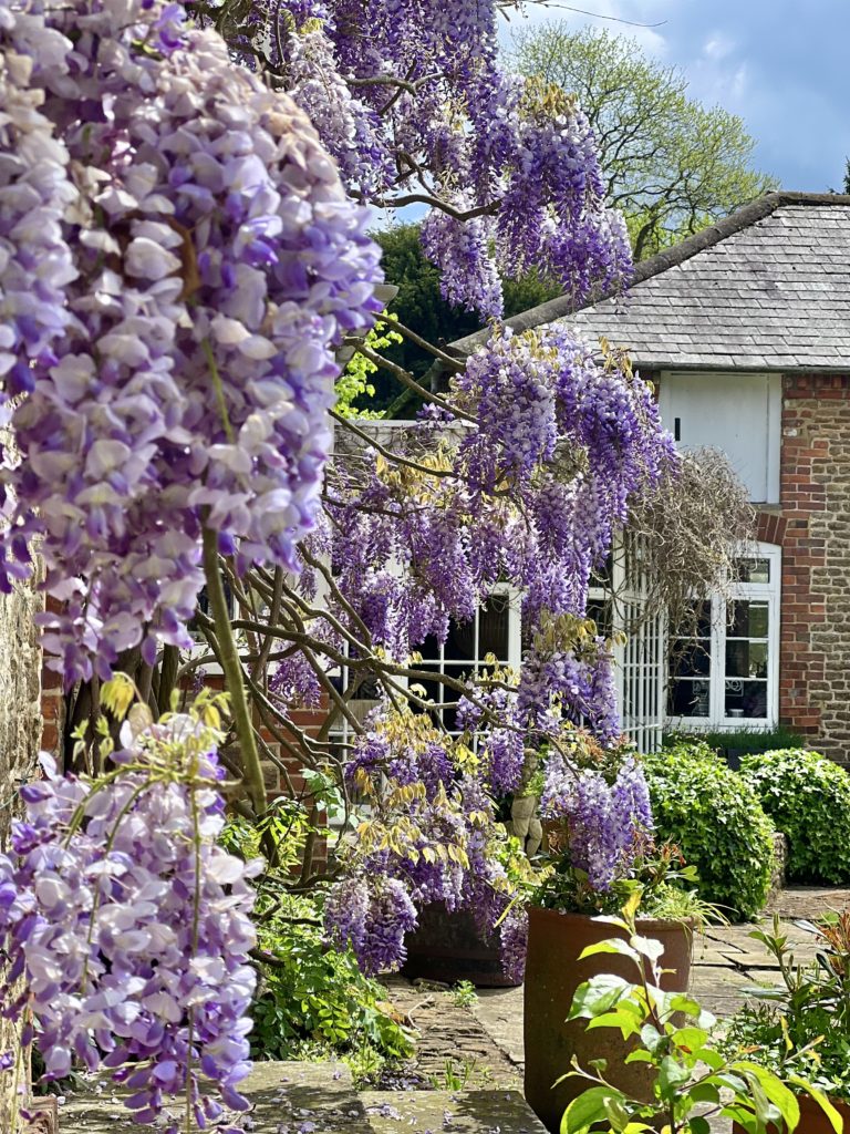 THE COACH HOUSE, SURREY, GU7 - SHOOTFACTORY - OTHER UK HOUSES